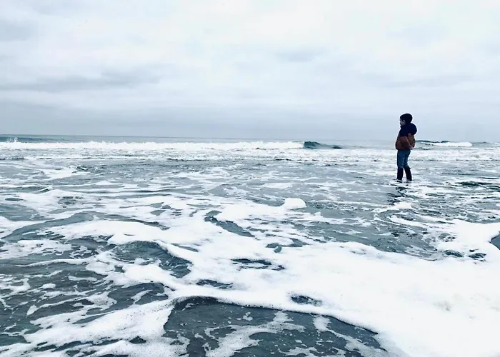 Appartement Aiguemarine - Vue & - Confort & Evasion